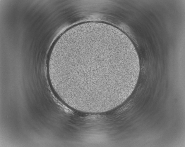 X0000055980950200509091950