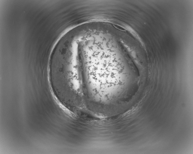 X0000055980955200509091950