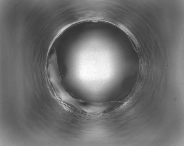 X0000055980956200509091950