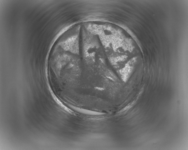 X0000055980957200509091950