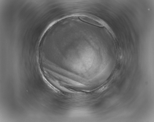 X0000055980958200509091950