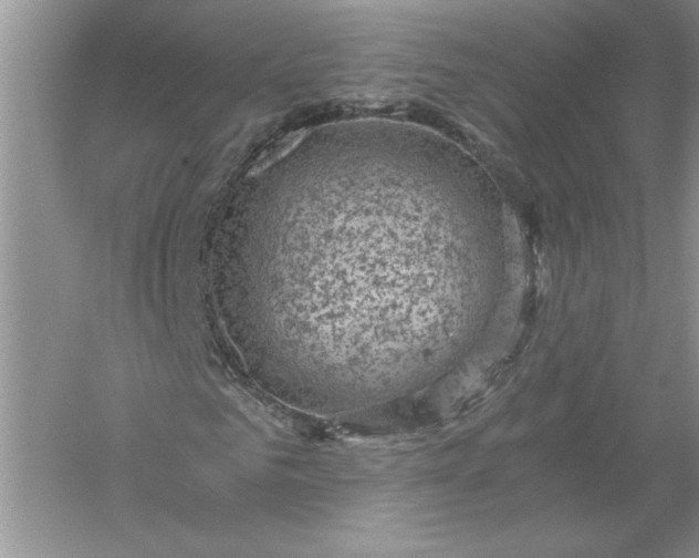 X0000055980961200509091949