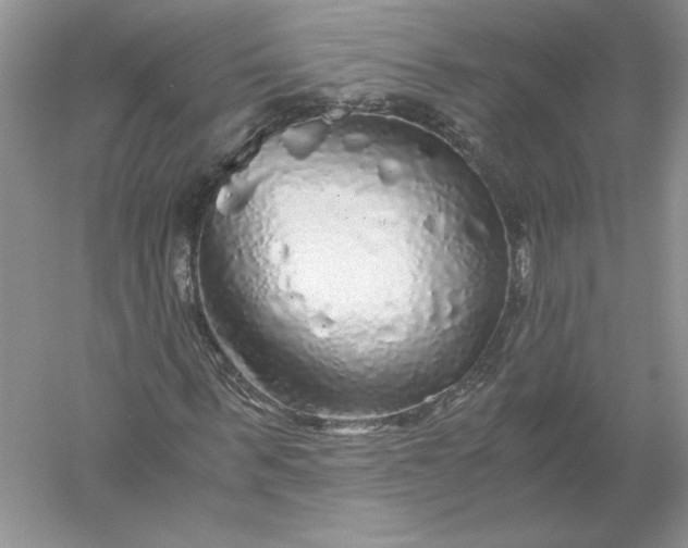 X0000055980963200509091949