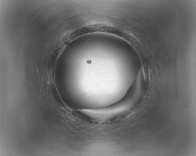 X0000055980965200509091949