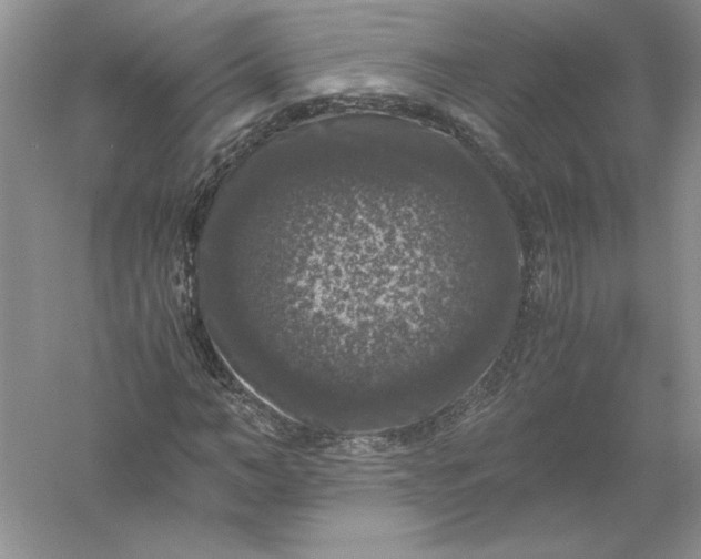 X0000055980966200509091949