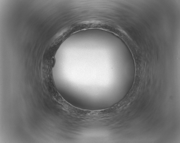 X0000055980967200509091949