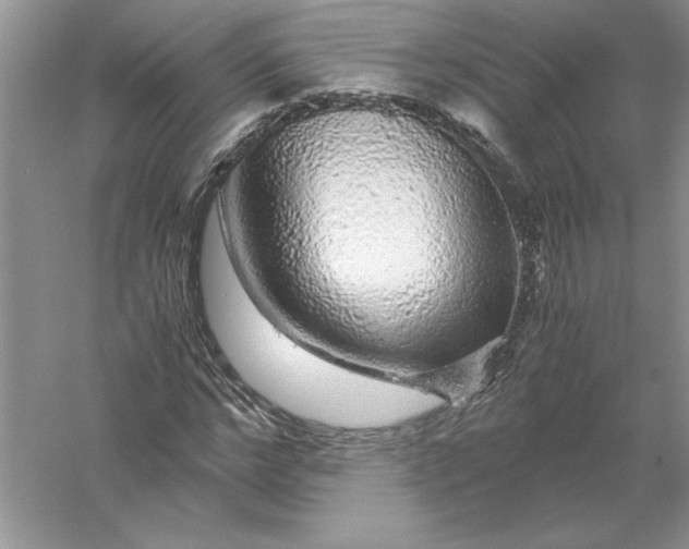 X0000055980968200509091949