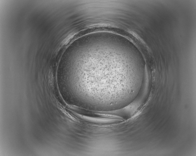 X0000055980969200509091949