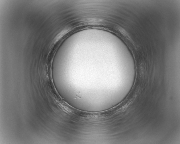 X0000055980970200509091949