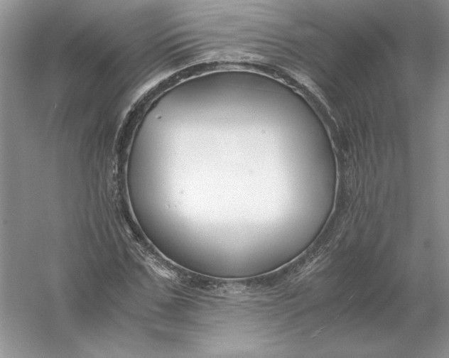 X0000055980971200509091949