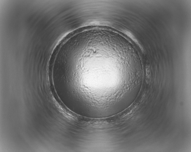 X0000055980972200509091949