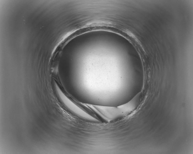 X0000055980973200509091949