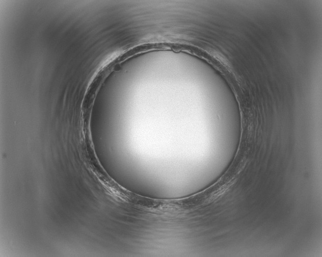 X0000055980974200509091949