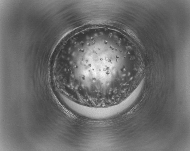 X0000055980976200509091949