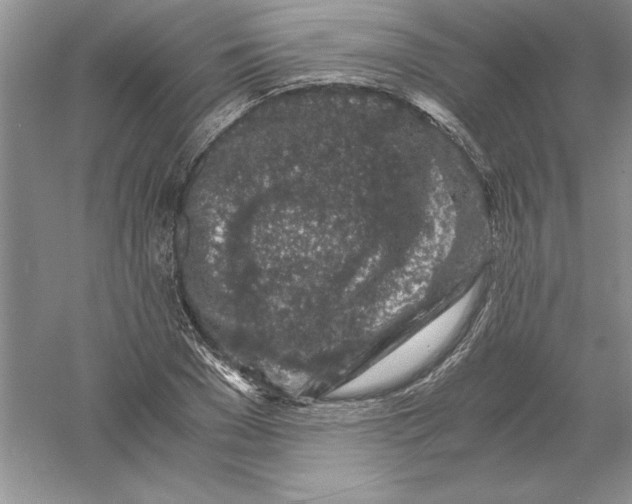 X0000055980977200509091949