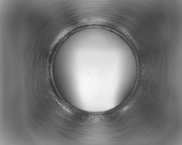 X0000055980978200509091949