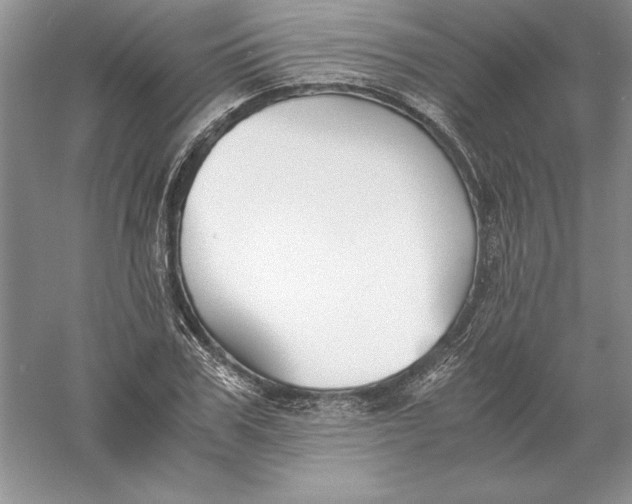 X0000055980979200509091949