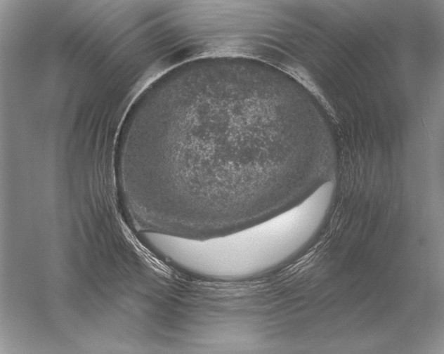 X0000055980980200509091949