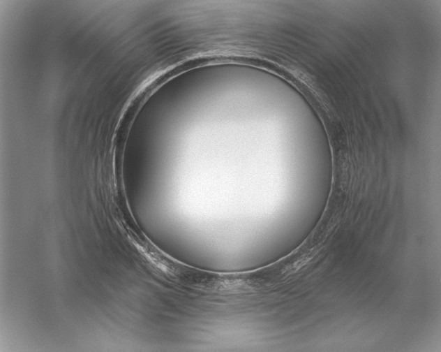 X0000055980982200509091949