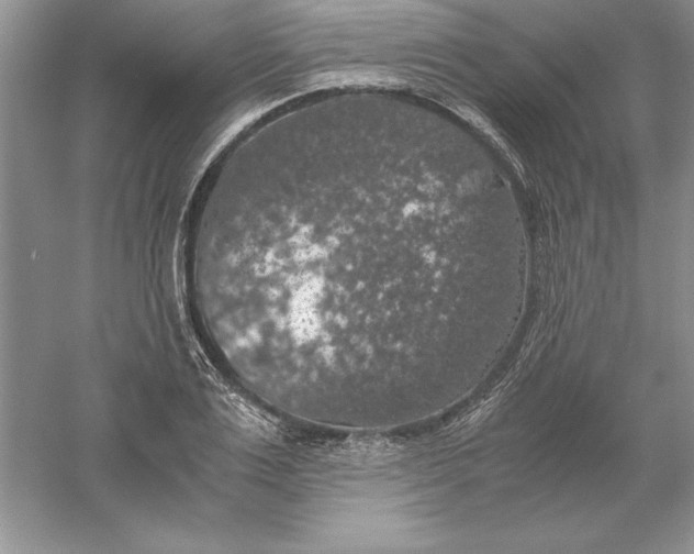 X0000055980983200509091949