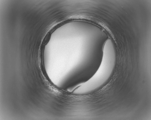 X0000055980984200509091949