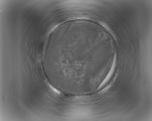 X0000055980985200509091949