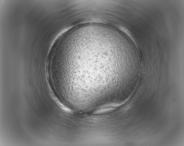 X0000055980987200509091948