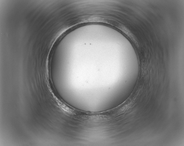 X0000055980988200509091948