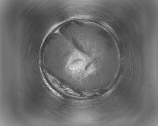 X0000055980989200509091948