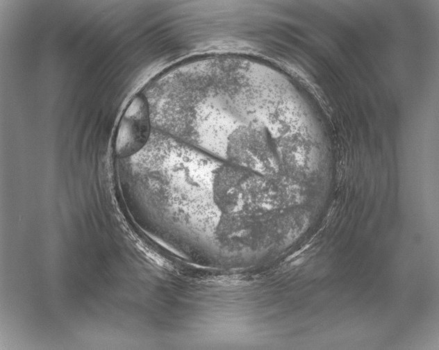 X0000055980990200509091948