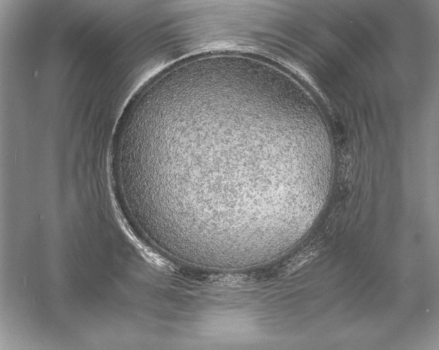 X0000055980991200509091948