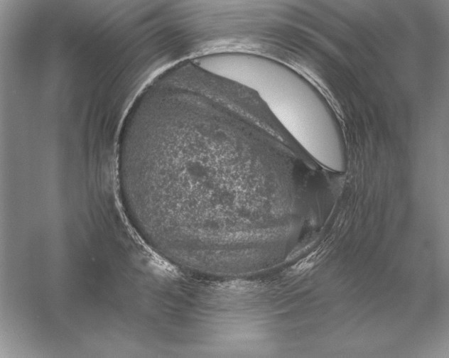 X0000055980992200509091948