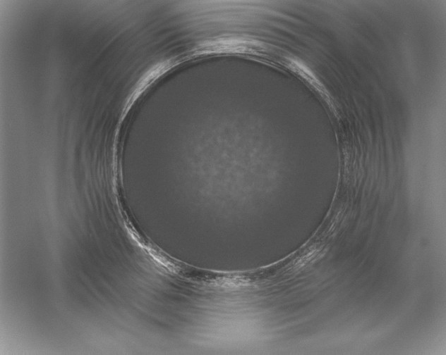 X0000055980994200509091948