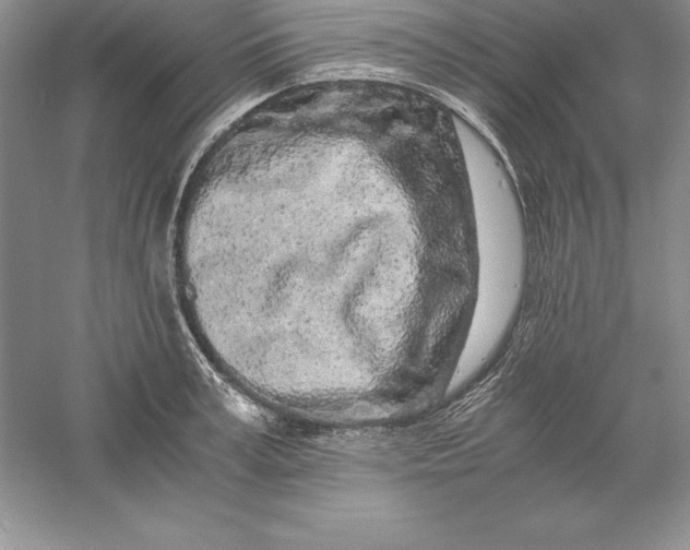 X0000055980995200509091948