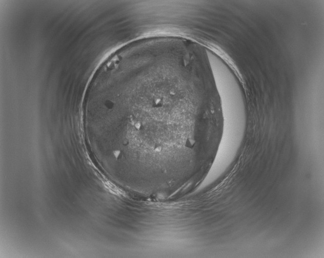 X0000055980996200509091948