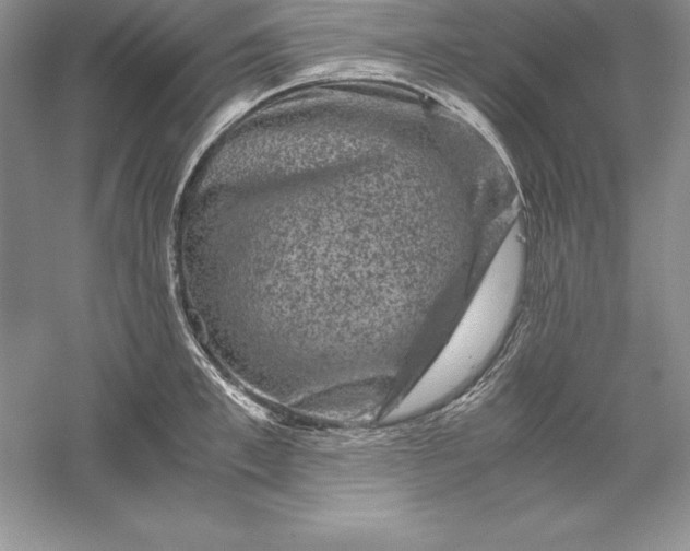 X0000055980997200509091948