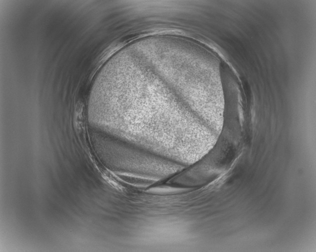 X0000055981001200509091948