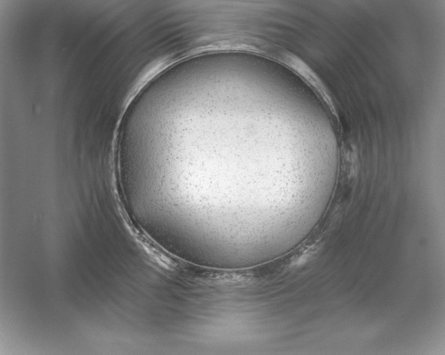 X0000055981002200509091948