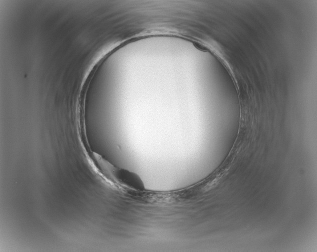 X0000055981003200509091948