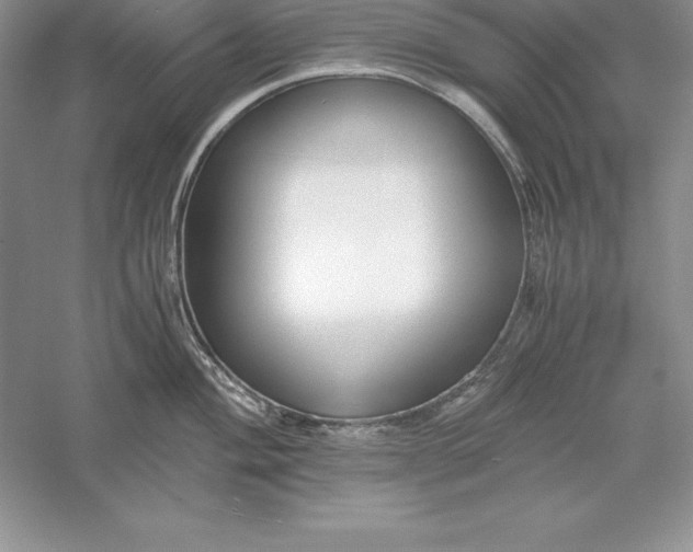 X0000055981004200509091948