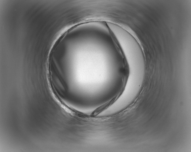 X0000055981005200509091948