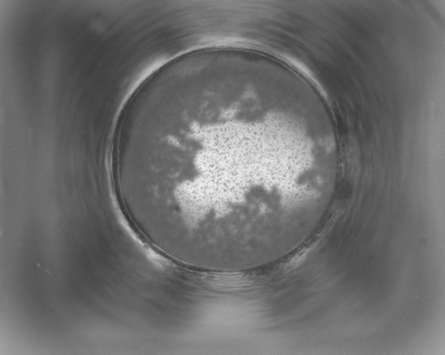 X0000055981007200509091948