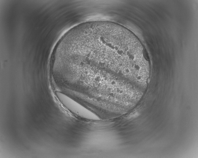 X0000055981008200509091948