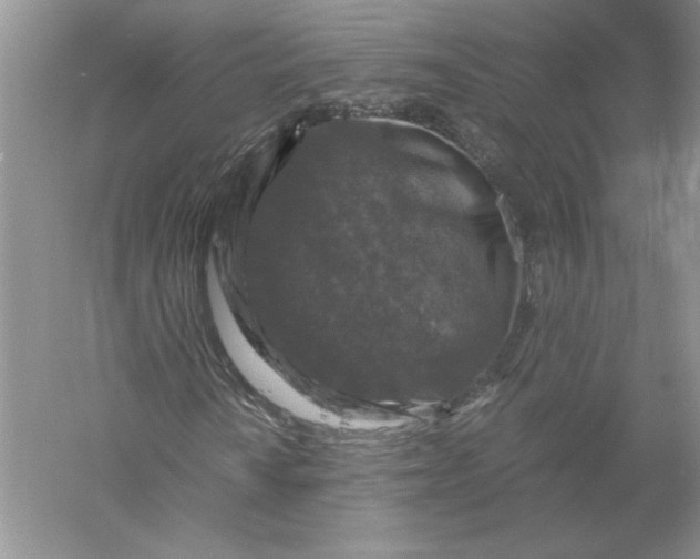 X0000055981010200509091947