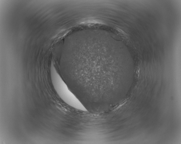 X0000055981014200509091947