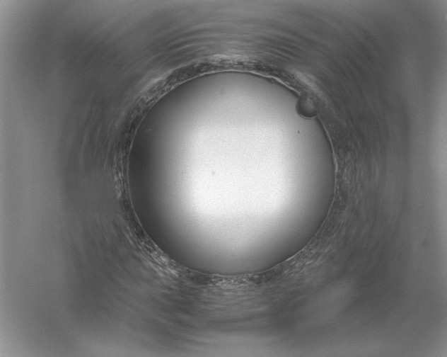 X0000055981015200509091947