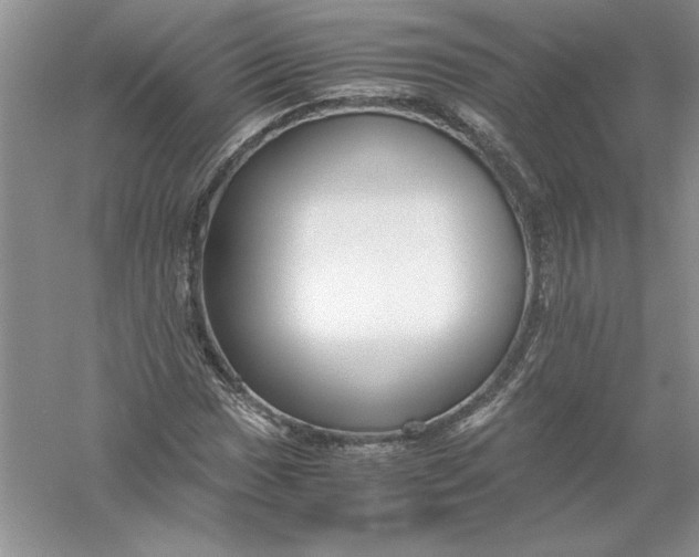 X0000055981017200509091947