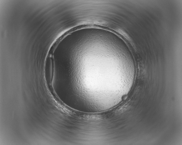 X0000055981020200509091947