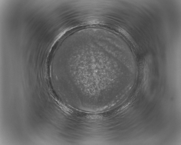 X0000055981023200509091948