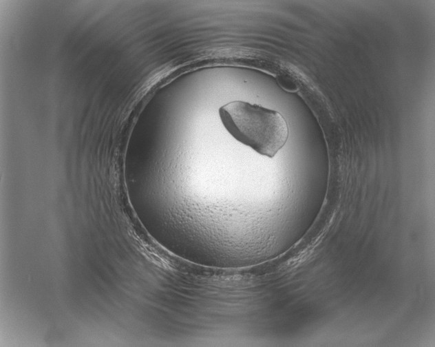 X0000055981025200509091948